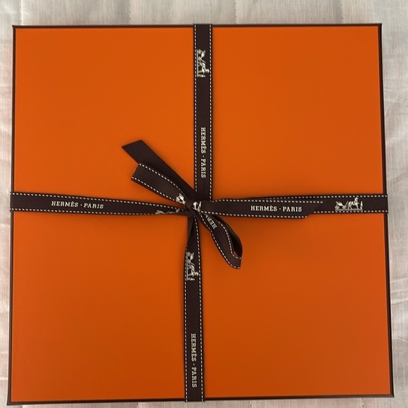 HERMES 90cm Silk Scarf “Photo Finish” NEW - Picture 7 of 7